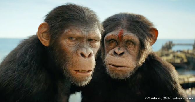 Planet Der Affen: New Kingdom – Langer Trailer vom Superbowl