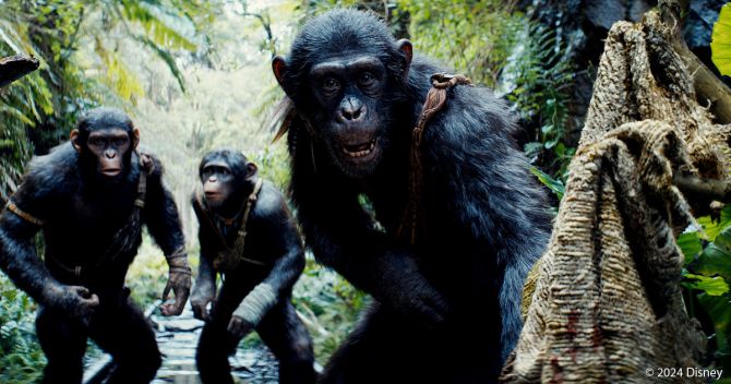 Planet der Affen: New Kingdom – Finaler Trailer zum Kinostart des Action-Spektakels